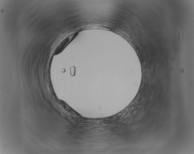 X0000072970289200608211329