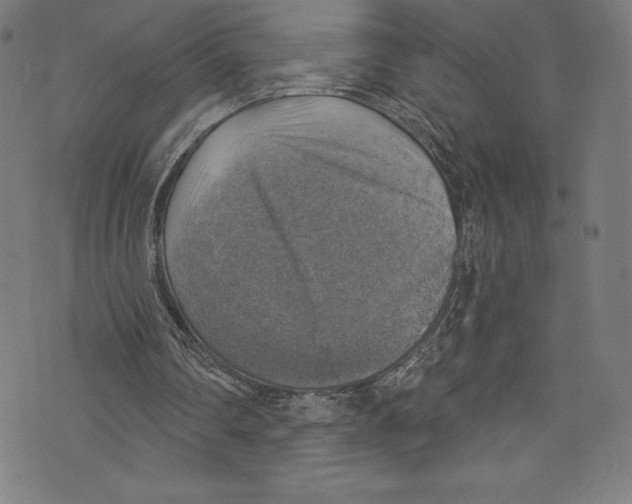 X0000072970290200608211329