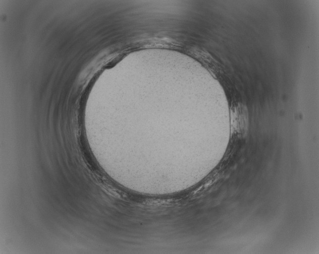 X0000072970291200608211329