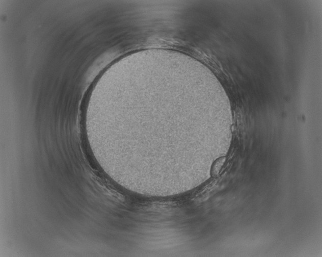 X0000072970292200608211329