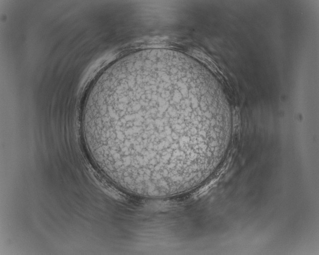 X0000072970293200608211329