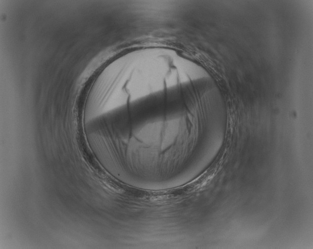 X0000072970295200608211329