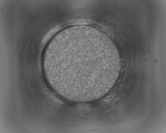 X0000072970296200608211329