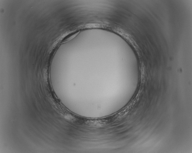 X0000072970297200608211329