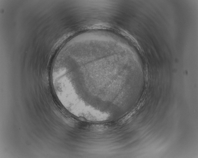 X0000072970298200608211329