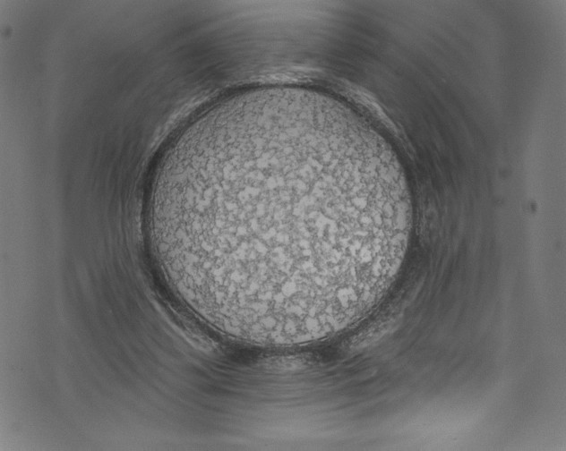 X0000072970299200608211328