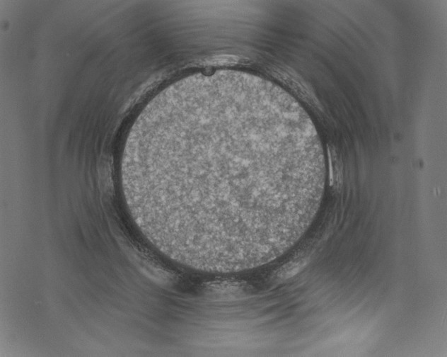 X0000072970300200608211328