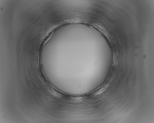 X0000072970301200608211328