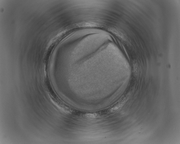 X0000072970302200608211328