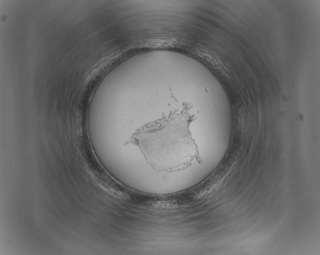 X0000072970303200608211328