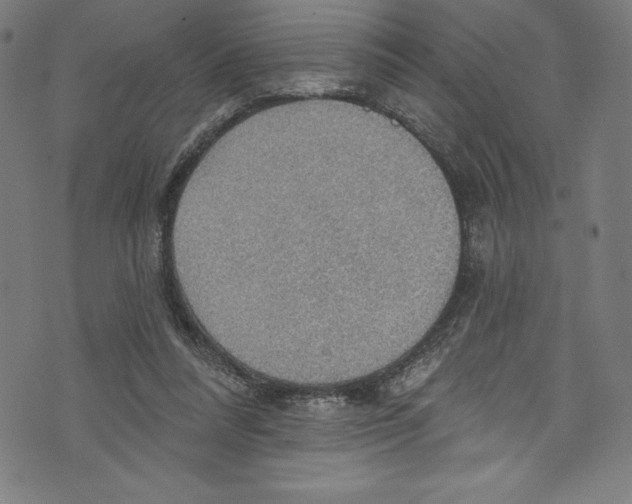 X0000072970304200608211328