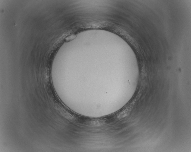 X0000072970305200608211328