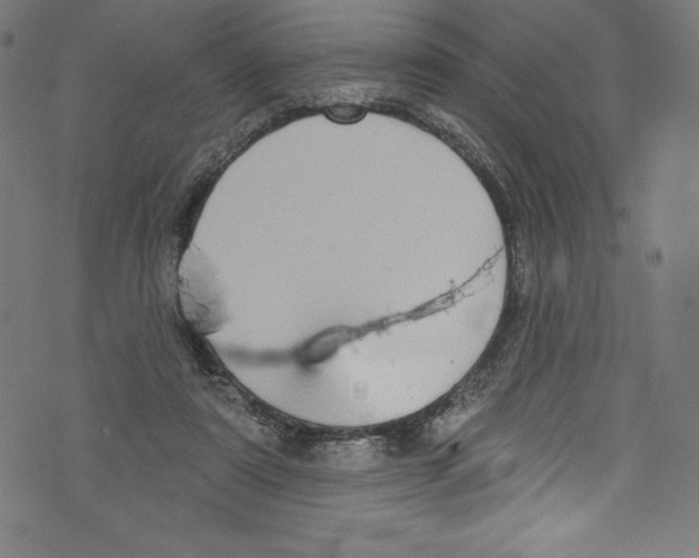 X0000072970307200608211328