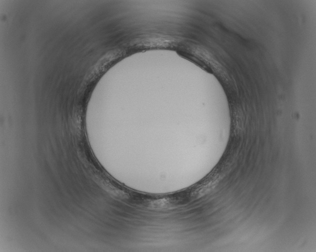 X0000072970309200608211328