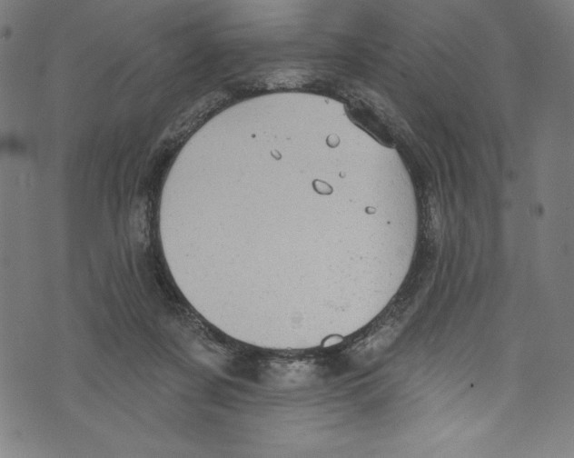 X0000072970311200608211328