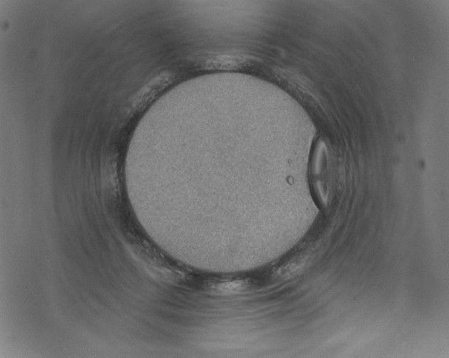 X0000072970312200608211328