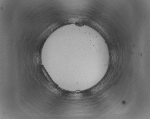 X0000072970313200608211328