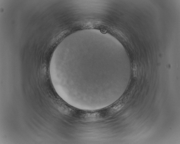 X0000072970314200608211328