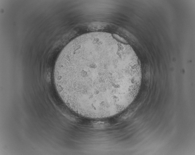 X0000072970315200608211328