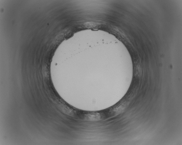 X0000072970317200608211328