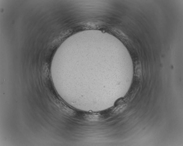 X0000072970318200608211328