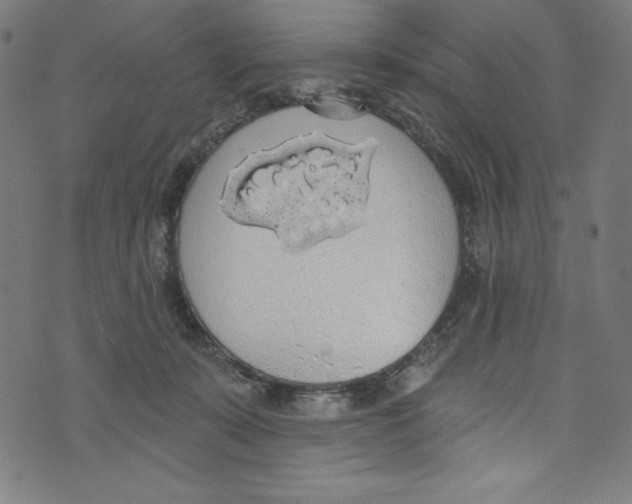 X0000072970319200608211328