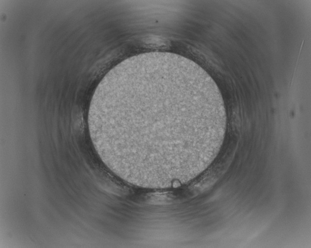 X0000072970320200608211328