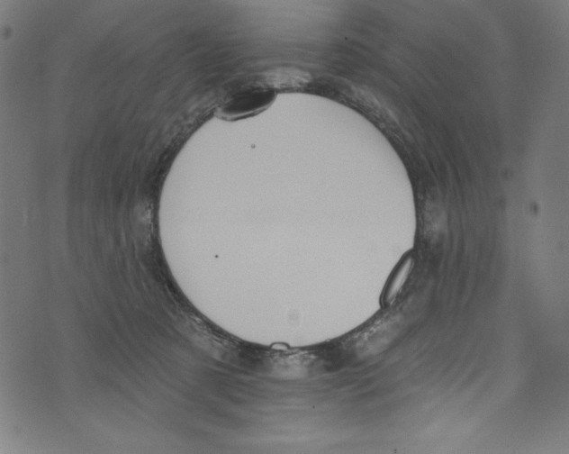 X0000072970321200608211328