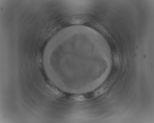 X0000072970322200608211328