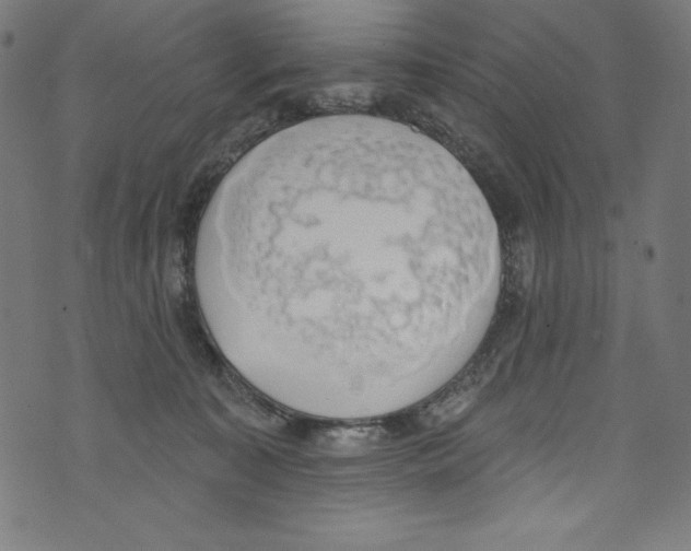 X0000072970323200608211328