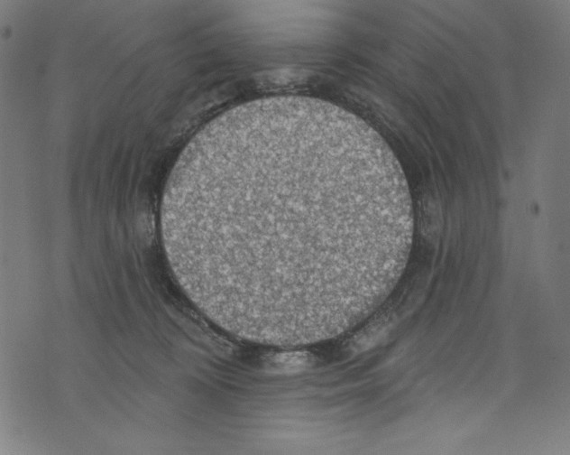 X0000072970324200608211328