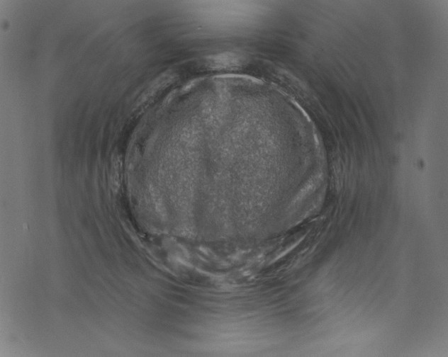 X0000072970325200608211328