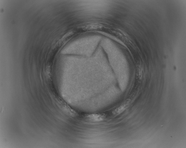 X0000072970326200608211328