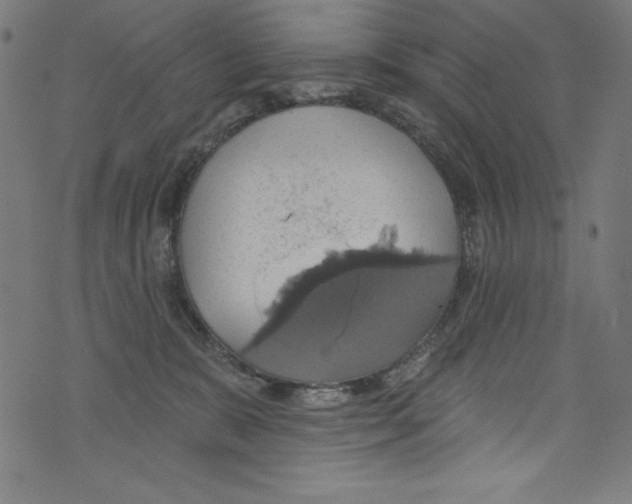 X0000072970327200608211328