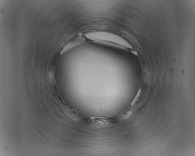 X0000072970329200608211328