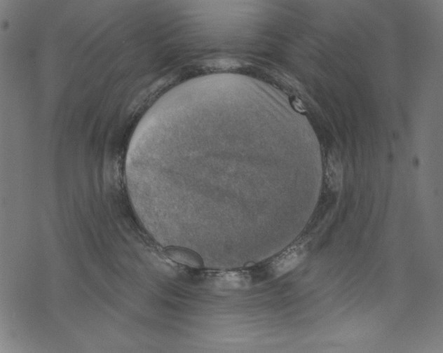 X0000072970330200608211328