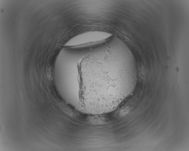 X0000072970331200608211328