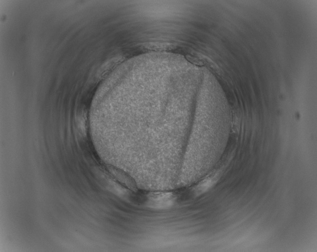 X0000072970334200608211328