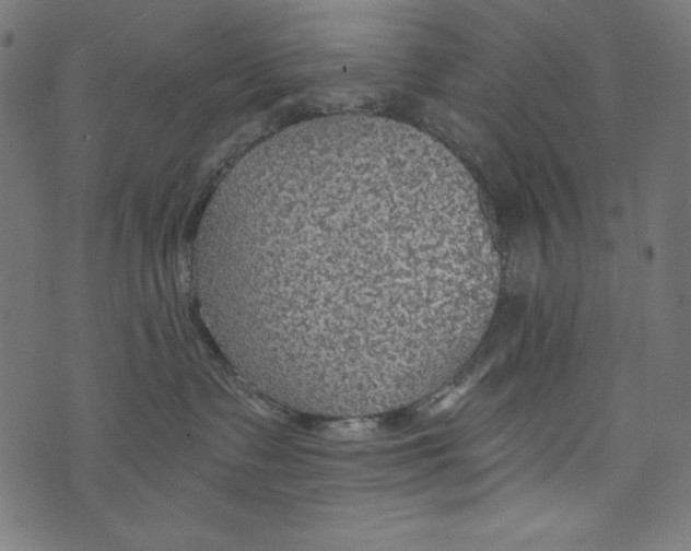 X0000072970335200608211328