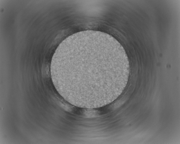 X0000072970336200608211328