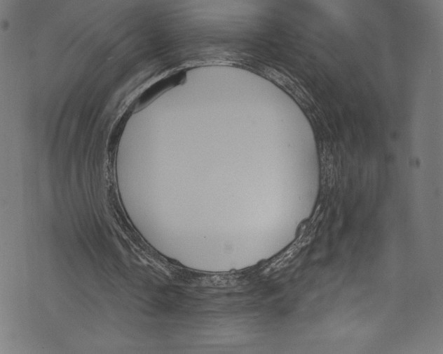 X0000072970338200608211327