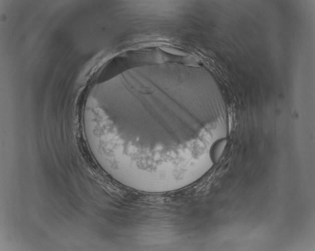 X0000072970339200608211327