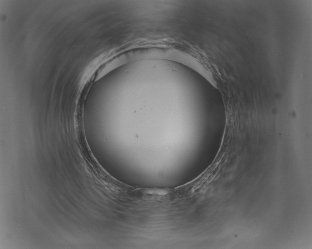 X0000072970340200608211327