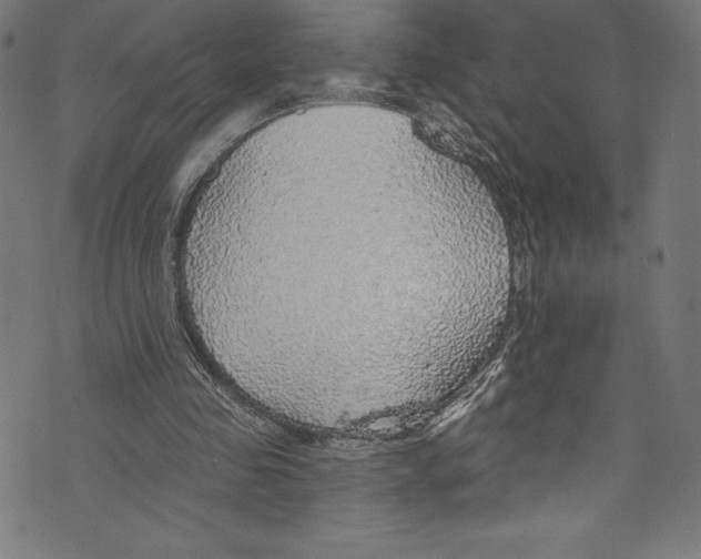 X0000072970341200608211327