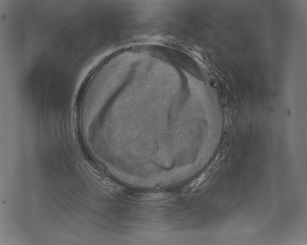 X0000072970342200608211327