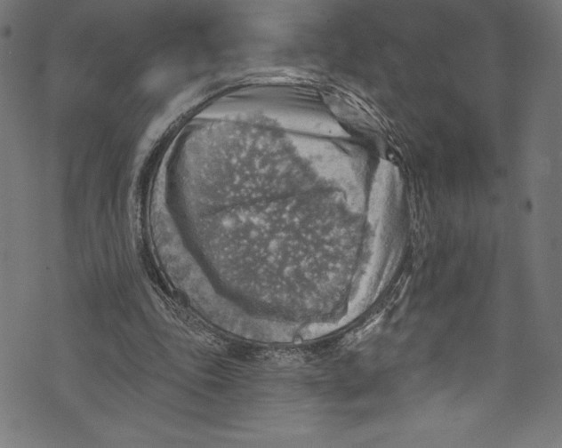 X0000072970343200608211327