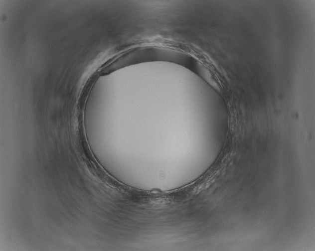 X0000072970344200608211327