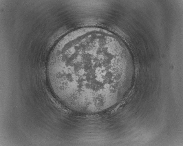 X0000072970345200608211327