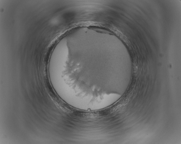 X0000072970347200608211327