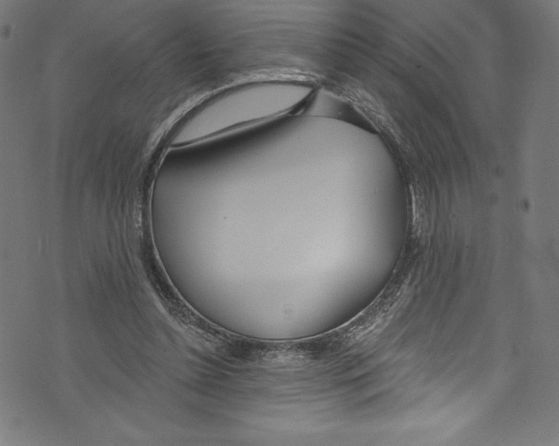 X0000072970348200608211327